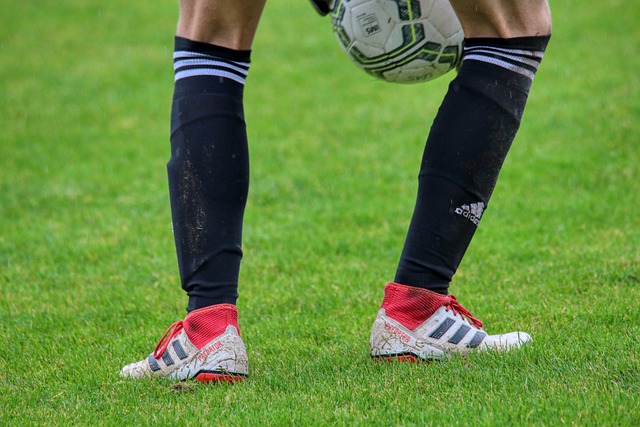 占据了不可 占据了不可